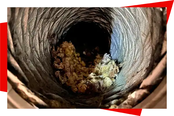 Air Duct Cleaning by Dirty Ducks Duct Cleaning in New Port Richey FL